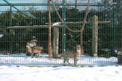 Killikus&reg; Fotographie